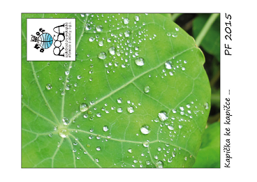 Šťastný nový rok 2015