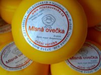 Mlasná ovečka - stejně tak i my!