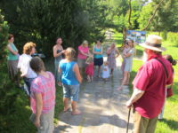 Zastavení u borovic